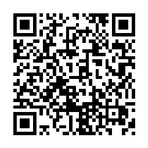 原本以为会不堪一击的力量在此时拧成了一股绳二维码生成