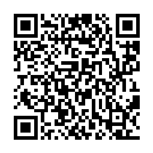 原本以为凭着自己是上元大陆的三大商行之一的族长二维码生成