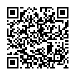 原本以为只是没有鱼不过提上一大半的时候才发现鱼线断了二维码生成