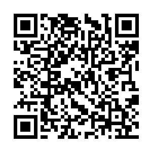 原本以为和之前的每一天一样都会看到无数的害虫二维码生成