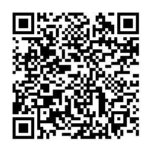 原本以为天衣无缝无懈可击的计划在唐劫眼中竟如小孩子的诡计般可笑二维码生成