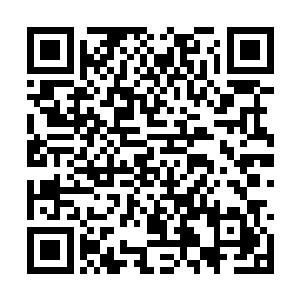 原本以为想要夺取玄牝之门只需解决一个墨教就行二维码生成