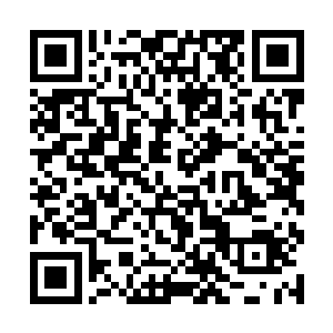 原本以为王家会借着女儿皇后之位被废而叛变什么的二维码生成