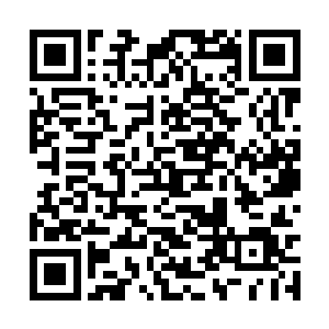 原本以为自己已经可以踏足中三界最强者的行列了二维码生成