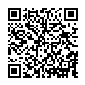 原本以为许紫烟只是想从云千里的炼制手法中学到一些东西二维码生成
