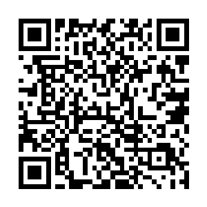 原本以为这密室里面应该藏有不少珍宝等之类的东西呢二维码生成