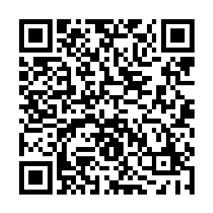 原本以为这次北地大劫会是自己宗门振兴的一次契机二维码生成