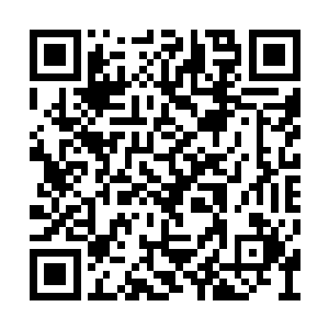 原本光华的元神身上竟然出现了一道细小的裂纹二维码生成