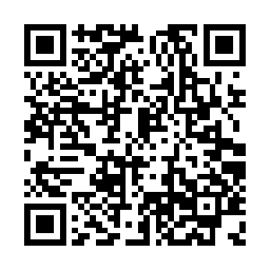 原本写满温良贤淑的一张俏脸上此时布满了寒气二维码生成