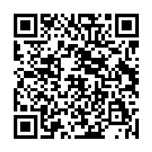 原本冰冷淡漠的脸庞如今笼罩着一层暖融融的笑意二维码生成