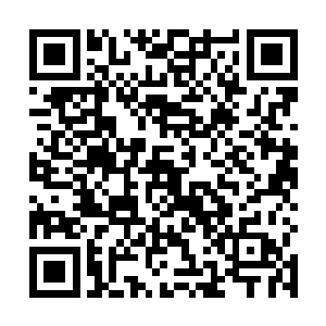 原本凝重忧虑的众人仿佛一瞬间惊醒过来纷纷站起身来二维码生成