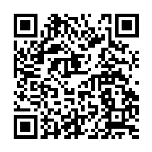 原本几个女人之间的隔阂似乎也因为此事化解不少二维码生成