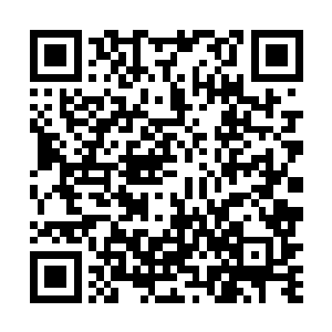 原本几乎二十米直径的巨大头颅如今不过三米左右见方二维码生成