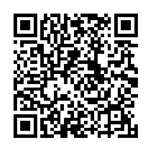 原本几乎已经陷于绝望之中的楚旬也终于看到了一丝希望二维码生成