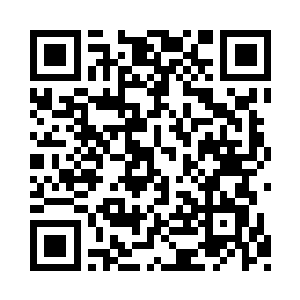 原本凶狠的小黑猫此刻在锦心的怀中一脸温顺二维码生成