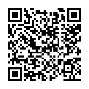 原本出手还足够迅速的林烽在小队伍愈发的团结下二维码生成