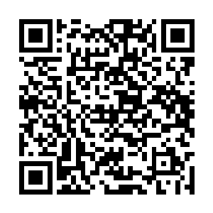 原本出没在她生活中的小鬼头一下子就全都不见了二维码生成