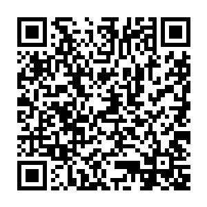 原本包裹着流墨墨的血焰好像活过来一样突然延伸出两条粗如蟒蛇的触手二维码生成