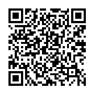 原本华丽的衣袖已经被凌厉的掌风绞碎了不少显得参差不齐二维码生成