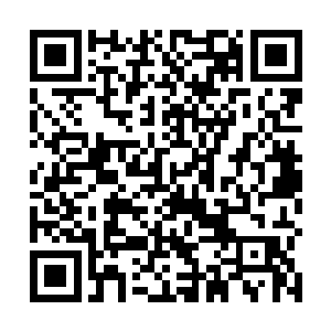 原本只报坐标以及现实情况的小四分身突然话多了起来二维码生成