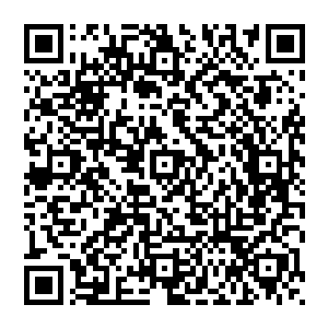 原本只是温柔在脑海里游荡的那股奇异情绪就是流墨墨有点放松的时候突然变幻成一朵细小的红色莲花二维码生成