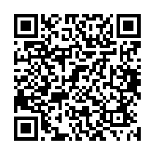 原本只是色彩斑斓的灵力现在看上去感觉多了一份均匀融密二维码生成