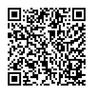 原本只是靠基本能力使用的血妖姬之力仿佛活过来一样露出自己的爪牙二维码生成