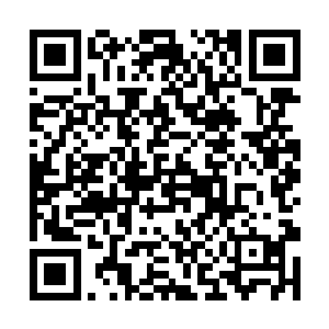 原本只有厮杀和血腥的楚京在一起想起了欢呼和笑声二维码生成