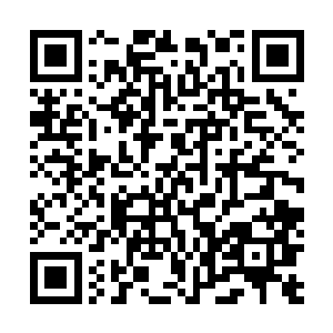 原本只有四丫头一个虽然下个月就成亲赶一赶倒也来得及二维码生成