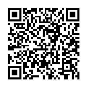 原本只有脸盆大小的焚天圣莲仿佛气球一般不断的暴涨二维码生成