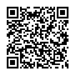 原本只有黄豆大小的金色小点已经有了豌豆大了二维码生成