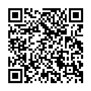 原本可以一击便散的少量五彩灵力居然延缓了青色灵力的占据二维码生成
