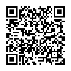原本听到自己依旧只需要按照百石知行出兵的赵虎二维码生成