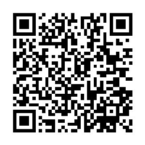 原本呈密集战斗阵型扑上来的战团顿时抱头鼠窜二维码生成