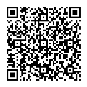 原本和其他树没有差别的那两颗梧桐树这个时候比起身边的梧桐树来整整高大了一圈二维码生成