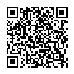 原本唯唯诺诺的李林似乎一下子从兔子变成猛虎二维码生成