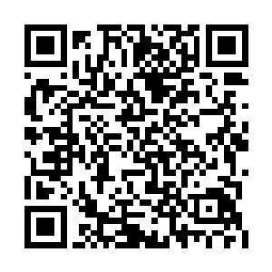 原本因为事故已经低调出去的苏梅再一次回来了二维码生成