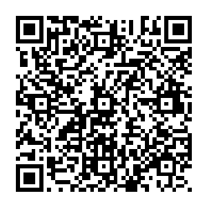 原本因为她神魂昏迷而沉寂龟缩到丹田的七彩灵力在这一瞬间被血妖姬之力完全驱逐出体外二维码生成