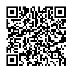 原本因为小熊玩偶连续爆炸而产生的滔天烈焰竟然迅速崩溃二维码生成