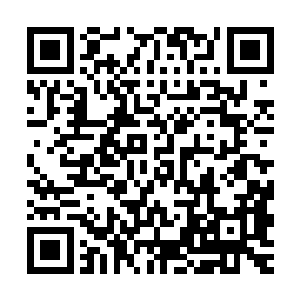 原本因为雪如楼吃了肉排带着的状态诱发出的食欲突然就消失了二维码生成