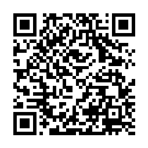 原本因为高速坠落而摩擦起来的高温却是瞬间被这崖壁降低二维码生成