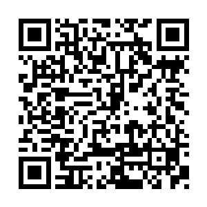 原本因天元家族有彼盛天宫撑腰而一直高枕无忧二维码生成