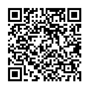 原本固定在导轨中的利刃纷纷化作耀眼的流光呼啸而出二维码生成