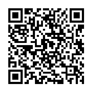 原本在东方盛才与东方玉兰面前狂妄至极的东方康云二维码生成