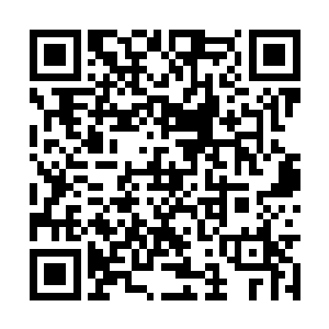 原本在他身边的那些细小的藤蔓瞬间直接化为飞灰二维码生成