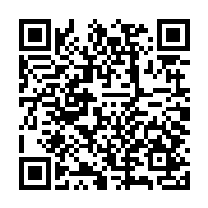 原本在流墨墨神魂碎片中深度沉睡的三魂都被惊醒二维码生成