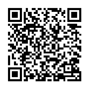 原本在高空探查的海东青因为剧烈的爆炸早就飞进了云层二维码生成