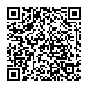 原本在龙傲天的身后有些无精打采的叶天机也见到眼前的老者的瞬间二维码生成
