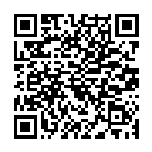 原本坐着的虎先生小心翼翼地一点点将屁股往阿黄身边挪了过来二维码生成