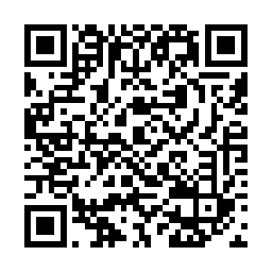 原本坐镇皇城的雷腾风也率领三十万大军赶到了汴城二维码生成